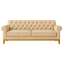 أريكة على الطراز ✅